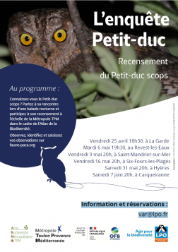 Enquête Le petit- duc LPO