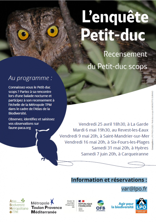 Enquête Le petit- duc LPO