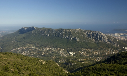 Le Faron