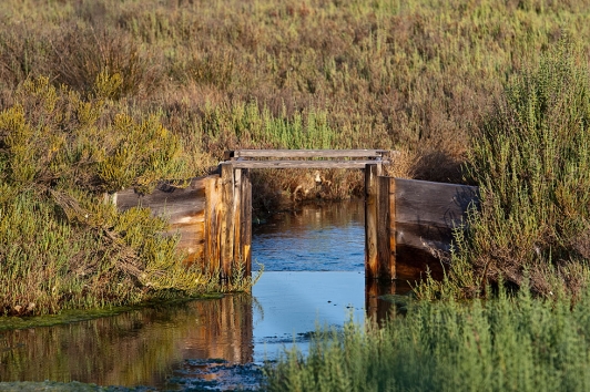 Salins des Pesquiers : ouvrages d'irrigations