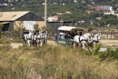 Fête des Salins d'Hyères