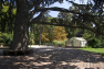 Jardin du Las - Toulon 