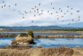 Salins des Pesquiers