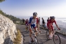 Les coureurs du Tour du Haut-Var dans la montée du Faron